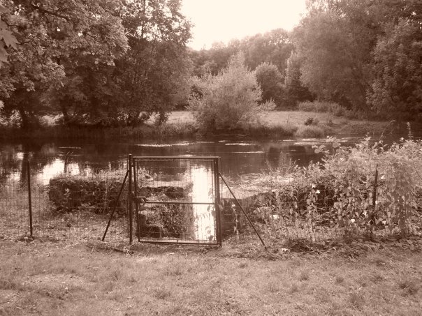 Chateau de Sermizelles2