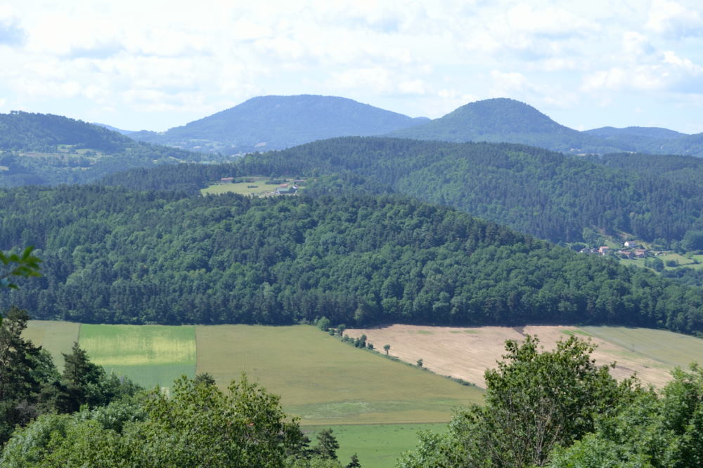 Gorges de la Loire (11)