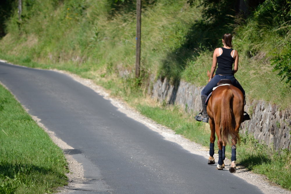 Gorges de la Loire (7)