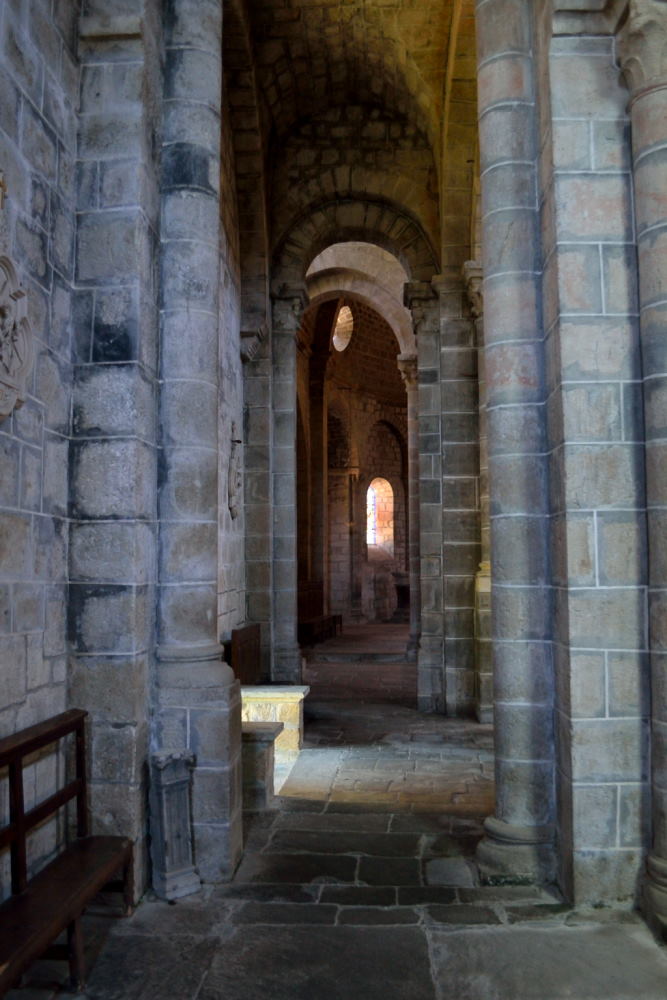 Chamalière sur Loire (9)