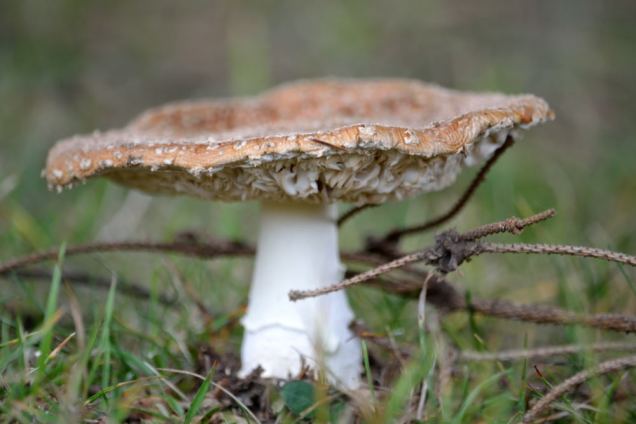 Aux environs de la Halte du Pélerin (23)