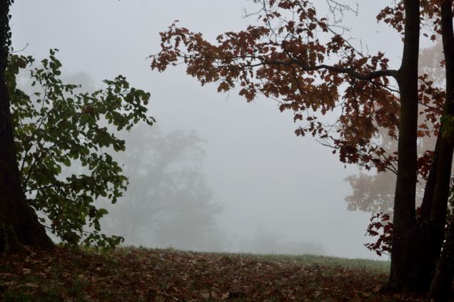 Brouillard d'automne (5)
