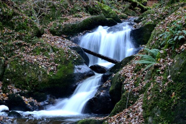 Cascade du Corbillon (11)