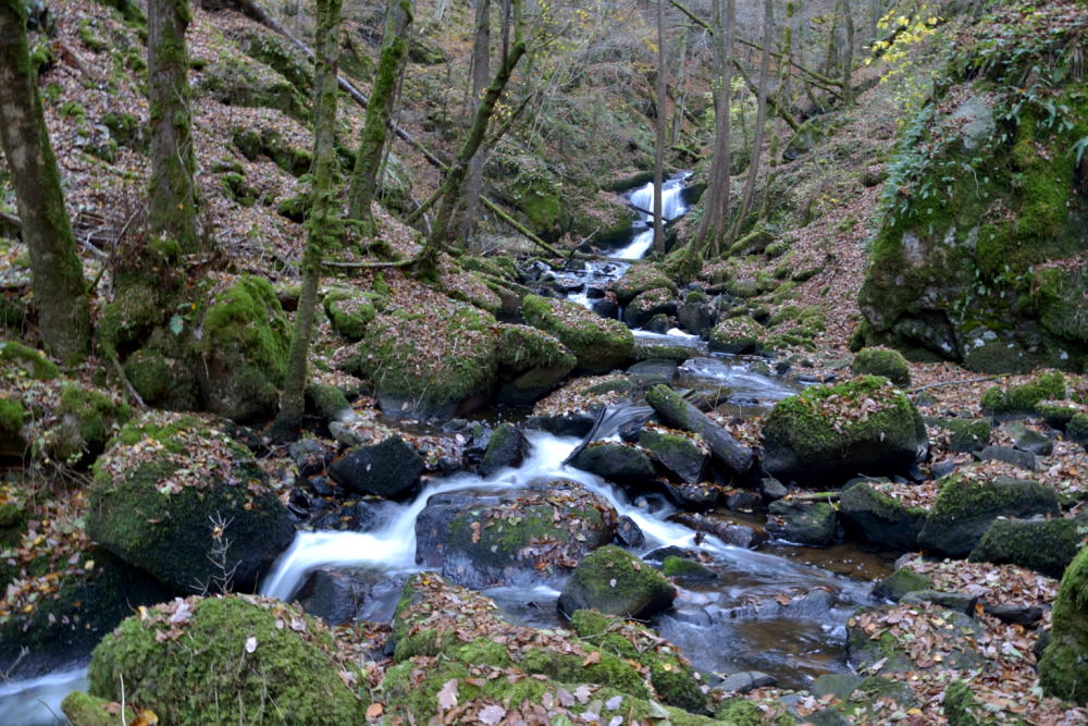 Cascade du Corbillon (13)