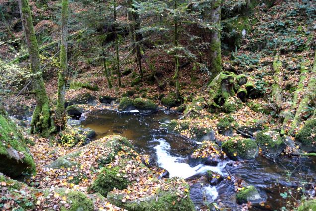 Cascade du Corbillon (15)