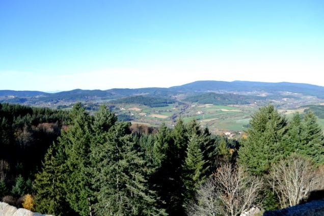 Château des Cornes d'Urfé (15)