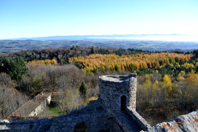 Château des Cornes d'Urfé (16)