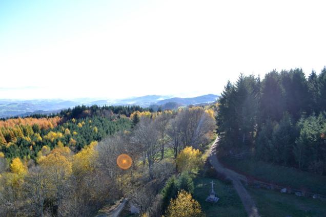 Château des Cornes d'Urfé (17)