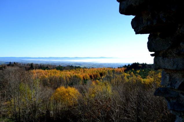 Château des Cornes d'Urfé (7)