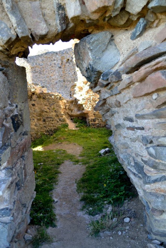 Château des Cornes d'Urfé (9)