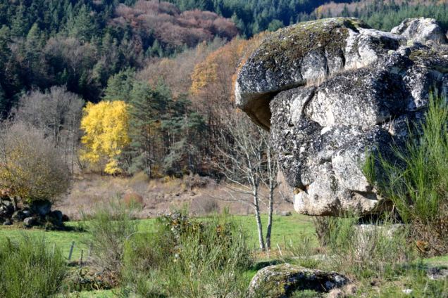 Mégalithe La Trotue (4)_01
