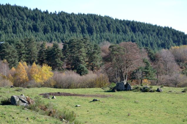 Mégalithe La Trotue (7)_01