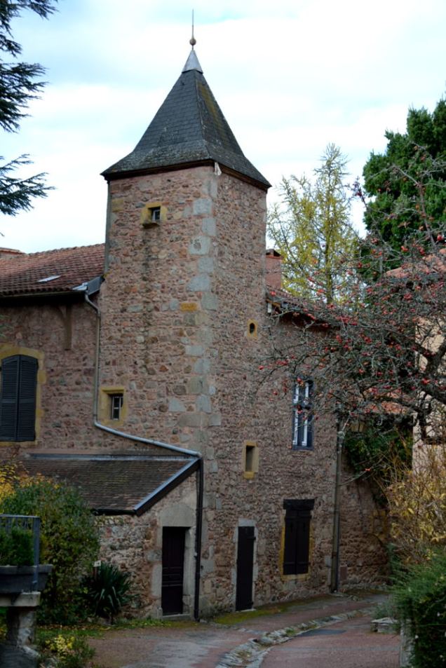 Saint Haon le Chatel (13)