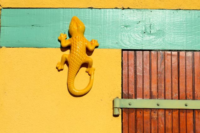 Saint Jean-Saint Maurice sur Loire (14)