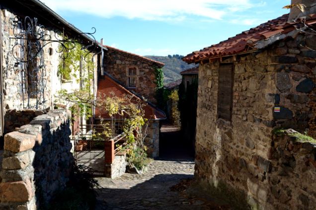 Saint Jean-Saint Maurice sur Loire (8)