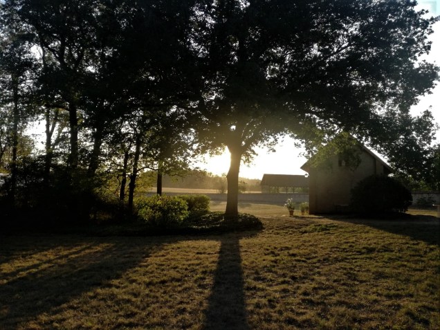 69598482_489235185242098_2294266251284840448_n