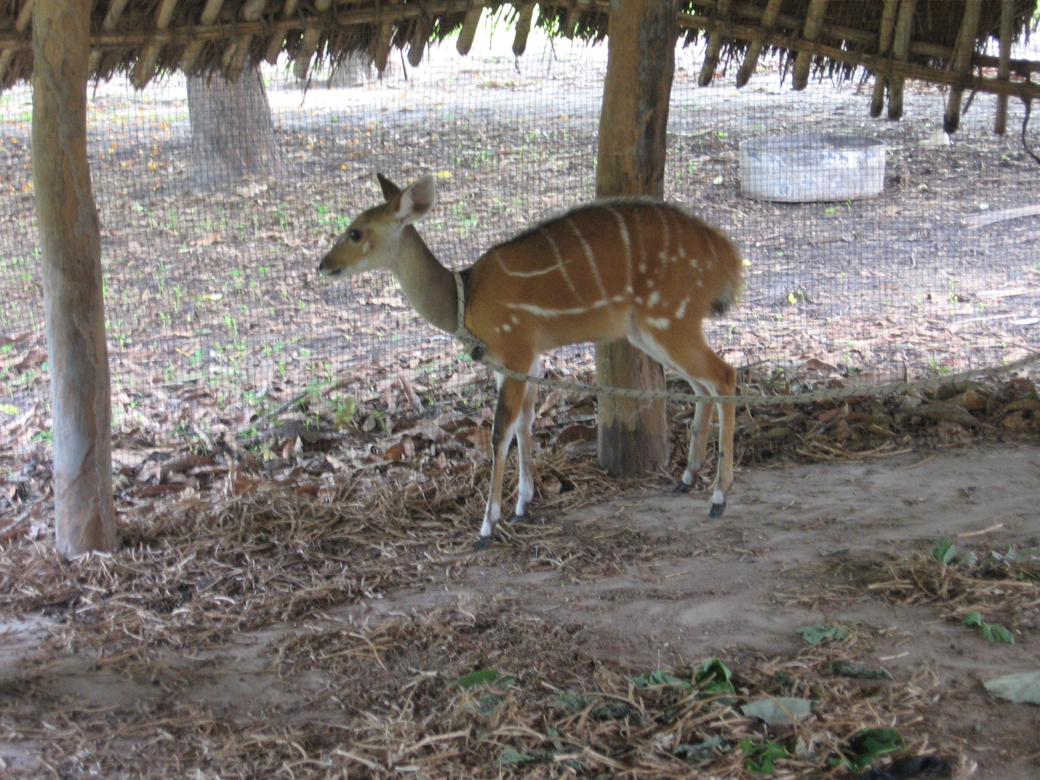 Pakour et ses environs 026