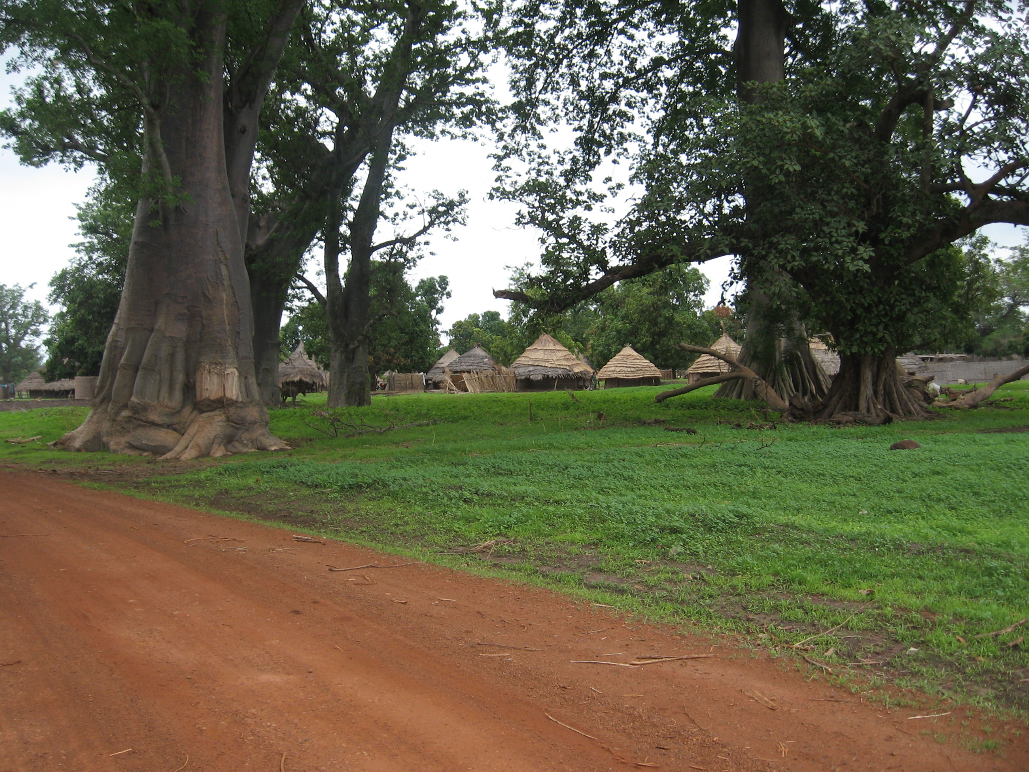 Pakour et ses environs 058