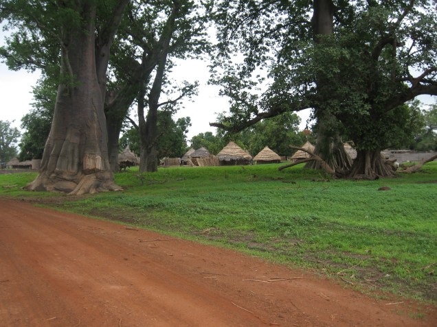 Pakour et ses environs 058