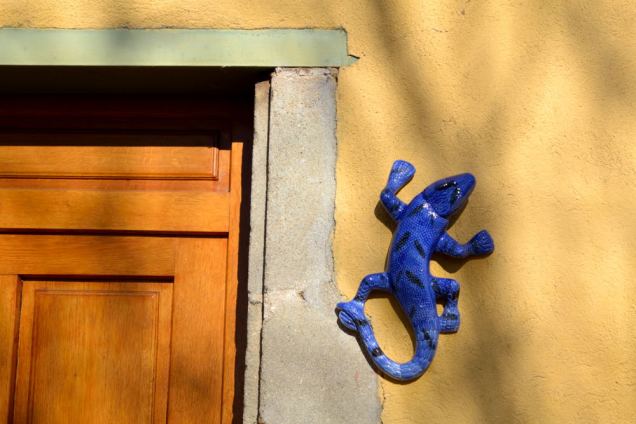 Saint Jean-Saint Maurice sur Loire (13)