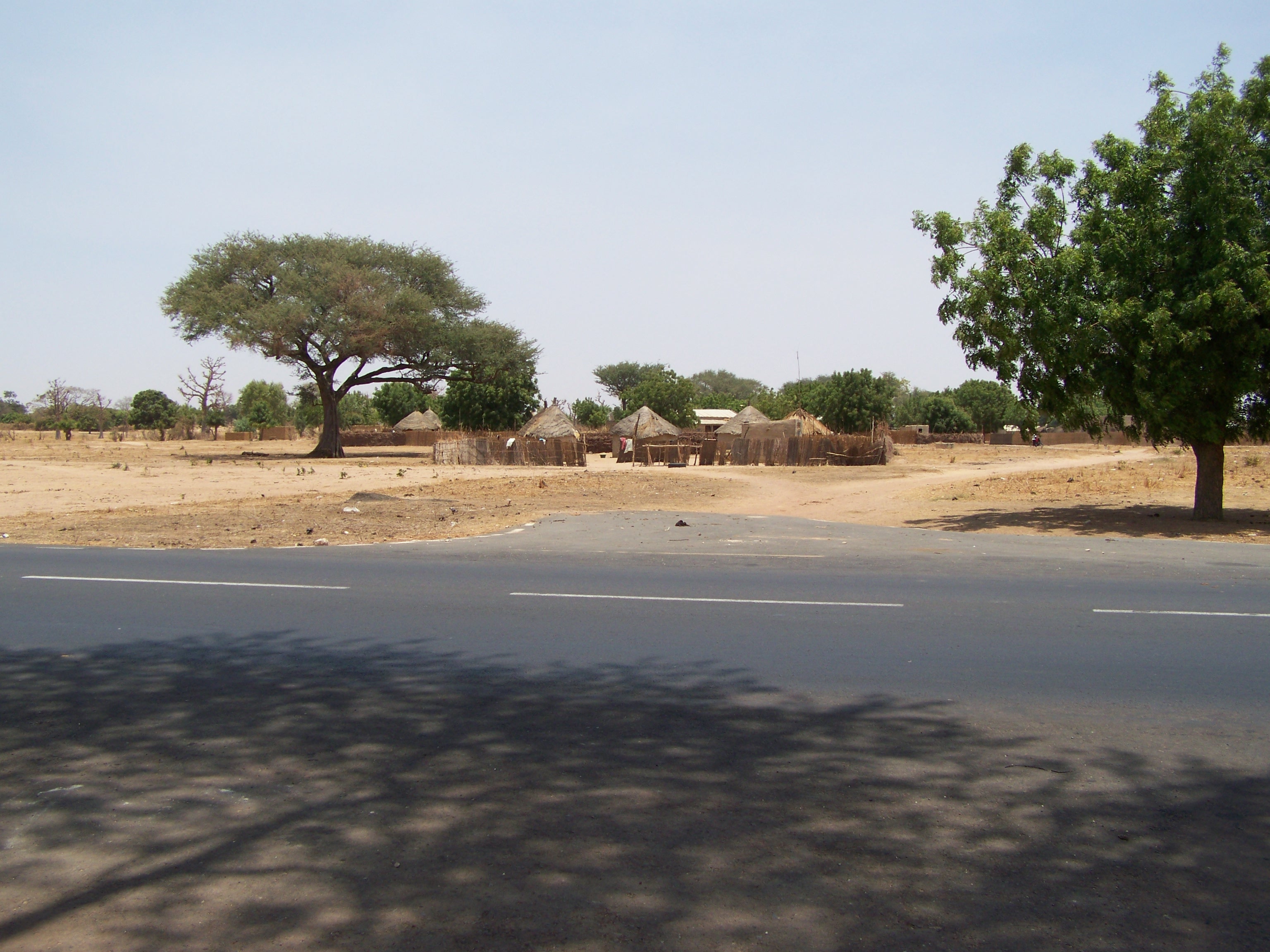 Voyage Sénégal Avril 2009 059