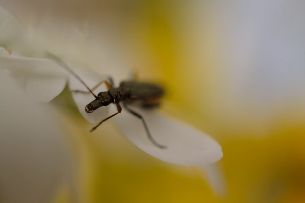 Sortir de la lumière