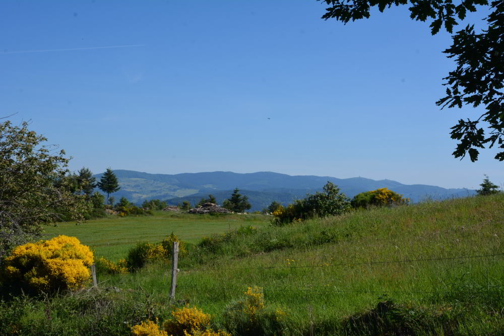 Vue sur le Pilat